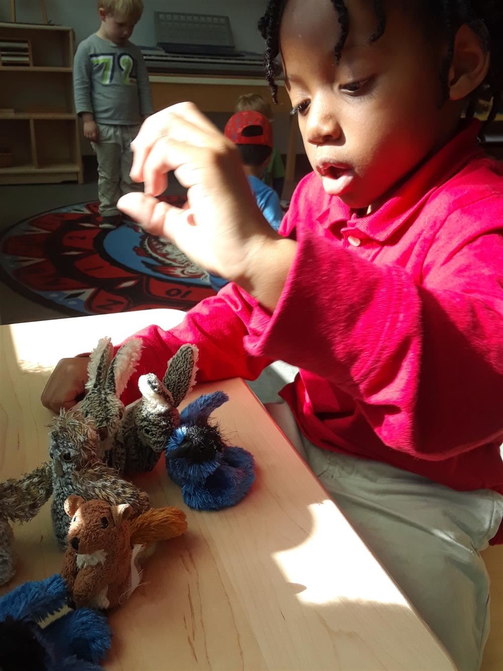 Native Montessori Student