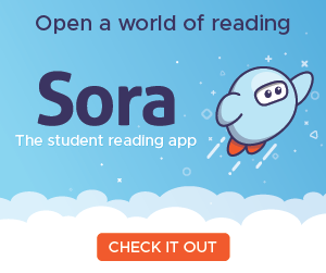 Sora 