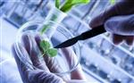 Biotechnology