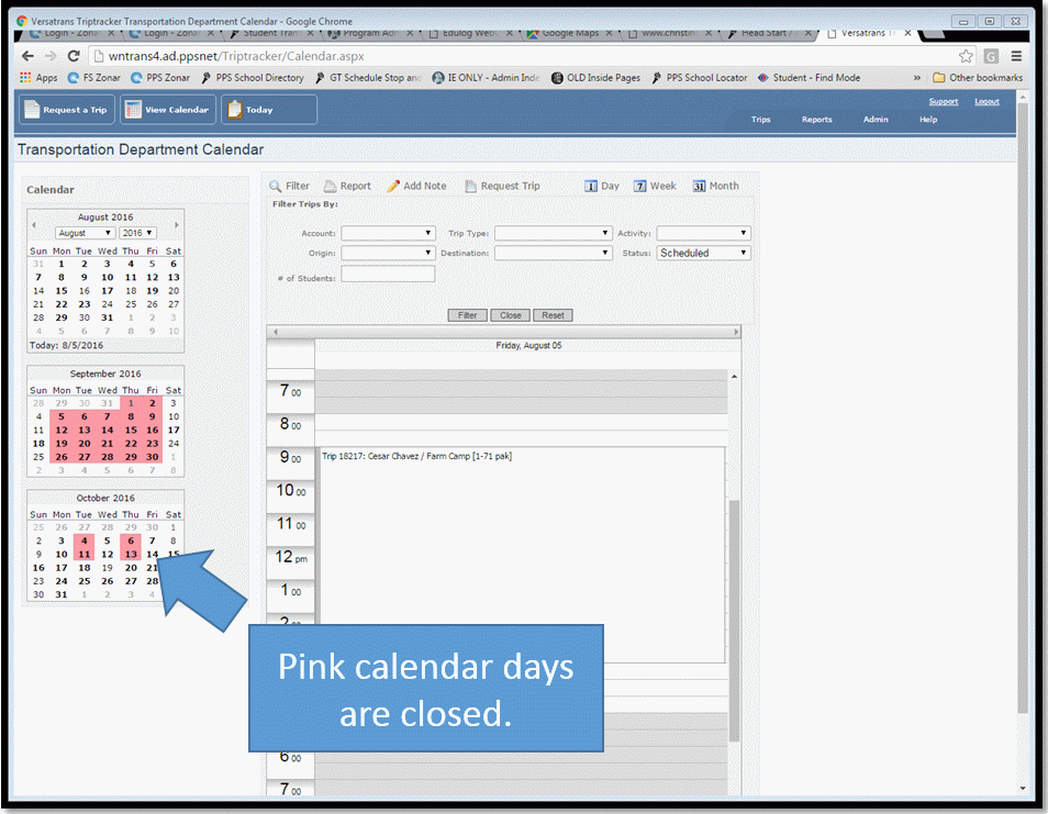 Pink Calendar Days