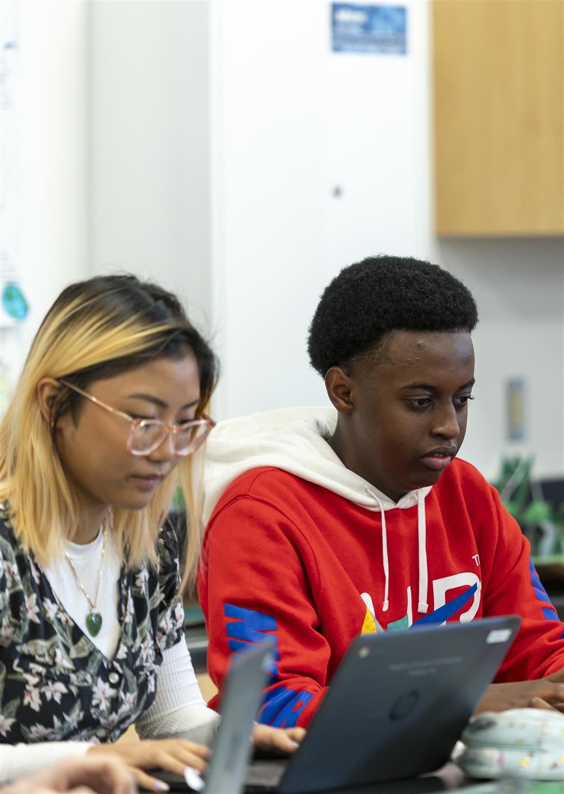 Students on laptops in classroom