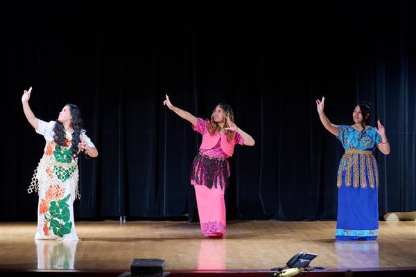 Harrison Park - Multicultural Celebration 2024
